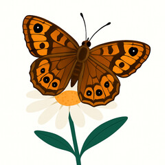 Minimalist and vibrant vector collection of different butterfly species sitting on spring and summer flowers. Flat design for digital projects, greeting cards, and nature-themed graphics.