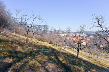 View of Prague from the hill in early Spring.