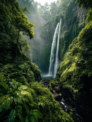 Misty Veil - A Majestic Waterfall Cascades into a Lush, Emerald Rainforest Gorge.