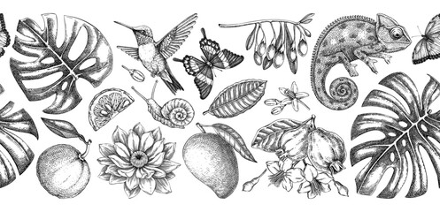 Tropical background. Exotic flowers, birds, fruits, animals hand drawn vector illustration. Vintage jungle seamless pattern. Not AI generated  © sketched-graphics