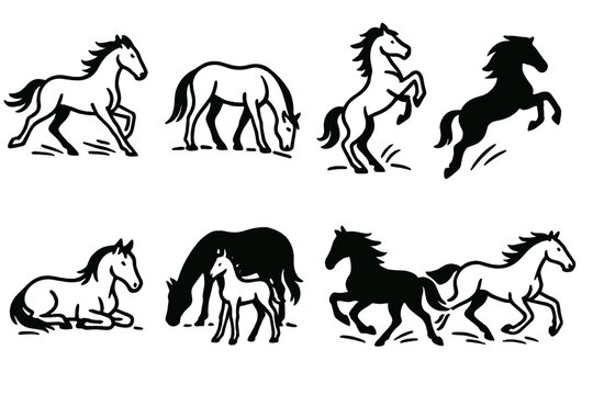 Dynamic Horse Silhouettes. Wild horses concept linear icon set: running horse, grazing horse, rearing stallion, resting mare, foal, horse silhouette, jumping horse, galloping pair