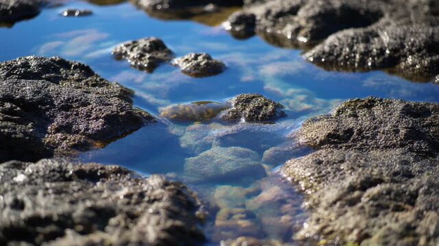 Gentle waves lap against dark rocks in a clear blue tide pool, creating a serene coastal scene perfect for travel and nature videos