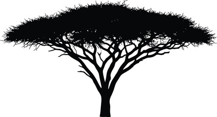 Black Savanna Tree Silhouette Vector Icon Detailed African Acacia Landscape Graphic Resource Isolated on White © Kafi