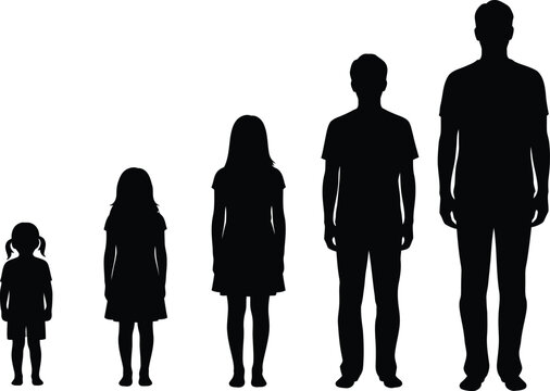 Human Height Progression Silhouettes Vector Illustration Children and Adults Growth Stages Black Figures