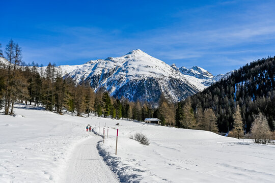 Bever, Val Bever, Winterwanderweg, Winterlandschaft, Wintersport, Holzbank, Oberengadin, Beverin, Fluss, Langlauf, Langlaufloipe, Alpen, Arvenwald, Winter, Graub&uuml;nden, Schweiz