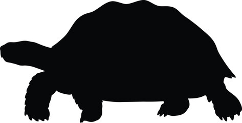 Black Silhouette Vector Illustration of a Giant Tortoise or Terrapin Side Profile Isolated on White Background