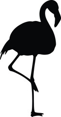 Flamingo Bird Standing on One Leg Black Silhouette Vector Graphic Isolated on White Background