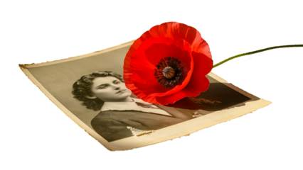 Red poppy and an old vintage photograph. A symbol of memory, history, and heritage. Isolated.