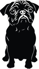 Black and white vector silhouette of a sitting Pug dog face forward graphic illustration