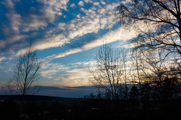 Striking silhouette of bare tree branches against a dramatic, layered spring sky at dusk, hints of village below