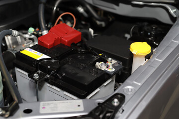 The electric battery is dead and the car won't start