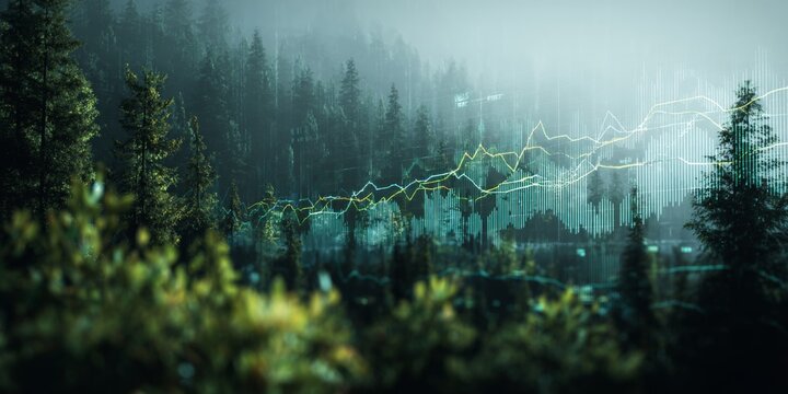 Digital visualization of forest landscape with abstract data graphs showcasing environmental insights and trends in nature in a serene setting