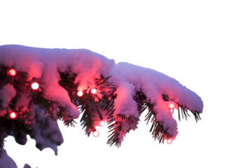 Festive Pine Branch Illuminated with Red Lights and Covered in Fresh Snow, a Winter Wonderland 
