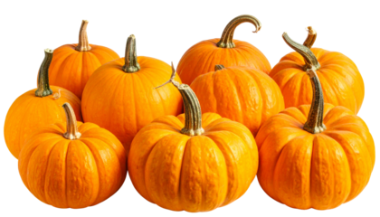 A set of pumpkins arranged together, showcasing vibrant autumn colors and natural textures, perfect for fall themes, harvest season, Halloween, and festive decoration visuals.