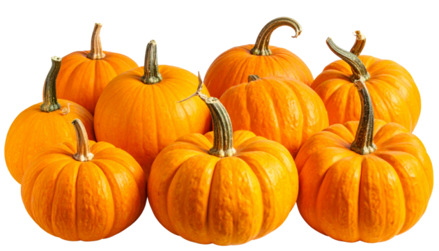 A set of pumpkins arranged together, showcasing vibrant autumn colors and natural textures, perfect for fall themes, harvest season, Halloween, and festive decoration visuals.