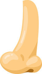 Human nose showing side profile and sense of smell