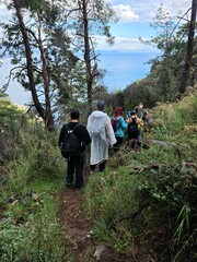 A section of the Luxembourg Gardens in Paris. Design of a natural park.