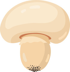Fresh button mushroom illustration isolated on white background