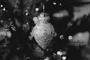 Black and White Frosted Christmas Ornament on Tree Branch