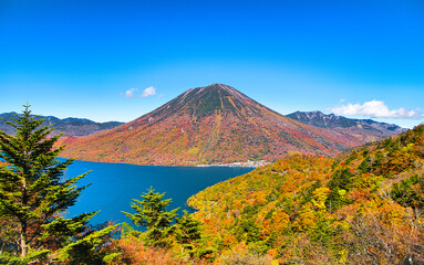 Fototapeta premium 栃木県日光市 秋の紅葉に染まる男体山と中禅寺湖