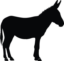 Black donkey silhouette, isolated on white background