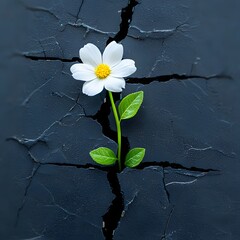 Mental Freedom: Blooming Flower Breaking Through Cracks
