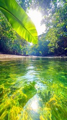 A vibrant image of a river flowing through a dense jungle. Sunlight streams through the trees, illuminating the green foliage and water. The scene evokes a sens