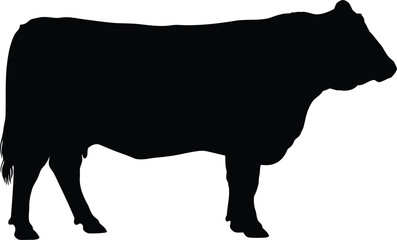 Black cow silhouette side view isolated on white background