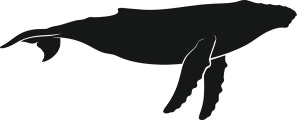 Humpback whale silhouette vector illustration