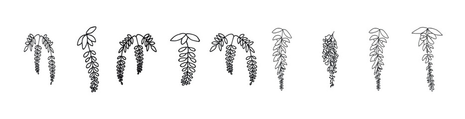 Elegant Wisteria Blooms Outline Coloring Book Line Art Set. Elegant Black Silhouette of Wisteria Flower Branch with Hanging Blossoms and Leaves, vector illustration.