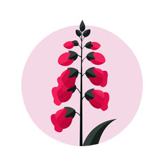 Attractive Simple illustration with EPS format design of foxglove flower isolated on white and transparent background, Clipart set, Minimalist illustration © Sabellatint