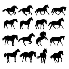 set silhouette of  horse, side view - vector illustration