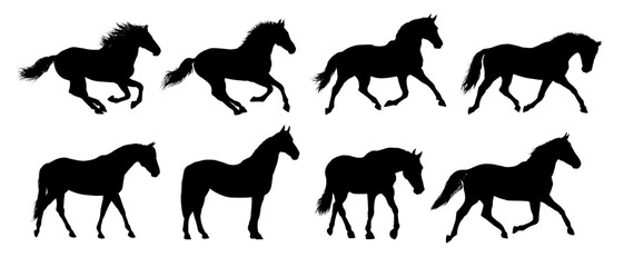 set silhouette of  horse, side view - vector illustration