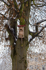 Old wooden birdhouse mounted on large tree trunk in winter city park with snow and dry leaves