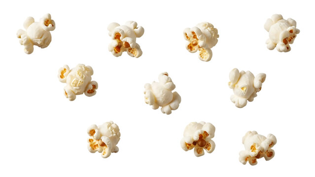 Ten fluffy white popcorn kernels scattered across a dark background, cutout, PNG isolated on transparent background