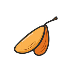 An Attractive, Simple illustration with EPS format design of a maple seed isolated on white and transparent background, Clipart set, Minimalist illustration