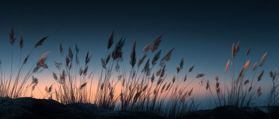 Dramatic Twilight Silhouette: Tall Grasses Casting Long Shadows on Dark Rock Surface