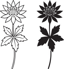 Set of two stylized botanical illustrations of a single flower on a stem with lobed leaves, one as an outline drawing and the other as a solid black silhouette, isolated on icon on