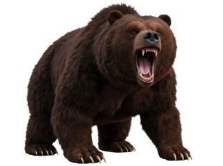 Furious brown bear roaring isolated PNG, ferocious grizzly with open mouth and sharp teeth on transparent background, wildlife predator