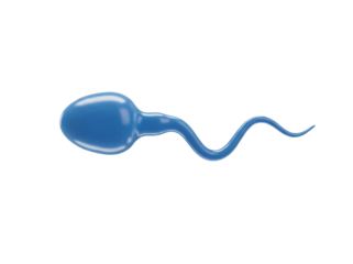 Blue sperm cell isolated PNG on transparent background, male reproductive cell for biology and medical use, single spermatozoon
