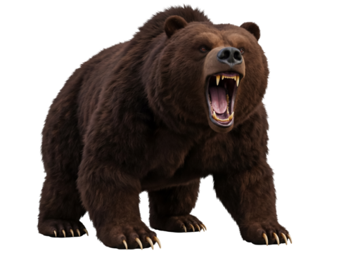 Furious brown bear roaring isolated PNG, ferocious grizzly with open mouth and sharp teeth on transparent background, wildlife predator