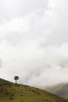 minimalist mountain landscape with hills, lone tree and running clouds. natural background