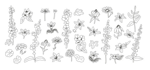 A set of delicate line art flowers and leaves. Minimalist botanical vector illustrations in continuous line style. Perfect for logos, packaging and wall art.