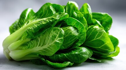 Fototapeta premium This image presents a vibrant head of romaine lettuce, highlighting the rich green colors and crisp textures that promise freshness for salads and healthy dishes.