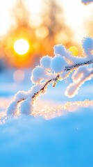 A close-up shot of a snow-covered branch with the sun setting in the background. The scene is bathed in warm, golden light, creating a serene and peaceful winte