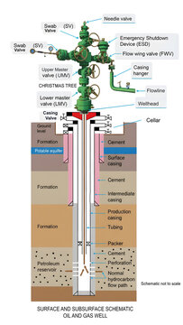detailed schematic of a surface and subsurface oil and gas well, illustrating the wellbore, casing, tubing, christmas tree assembly, and the flow path from the petroleum reservoir.