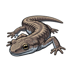 salamander vector with white background