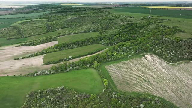 Side view of the Querfurt Plateau in Saxony-Anhalt, where finger-like shell-limestone formations rise from fertile loess&ndash;chernozem landscapes.
