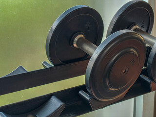 Dumbbells neatly arranged on a gym rack, ready for free weight training, with copy space.
