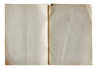 Blank Pages for Creative Writing Ideas